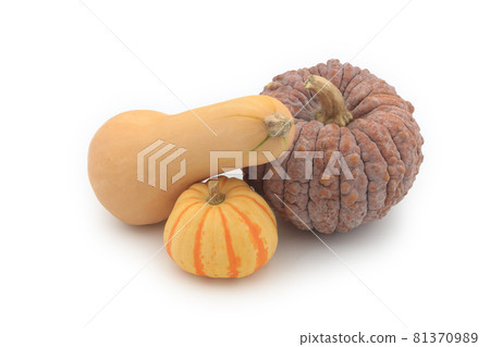 南瓜套裝(胡桃、菊花南瓜、普契尼) 南瓜套裝(胡桃、菊花南瓜、普契尼) 81370989