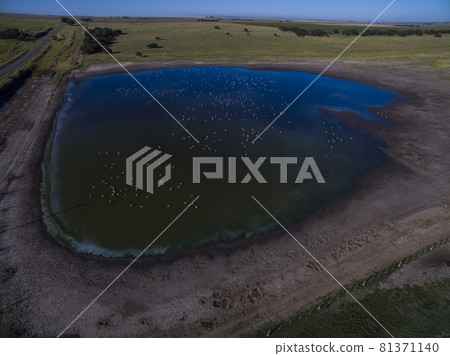 Pampas lagoon, aerial view 81371140