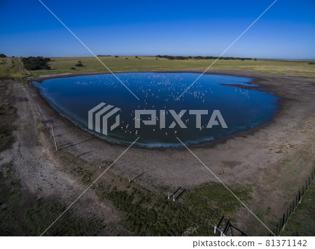 Pampas lagoon, aerial view 81371142