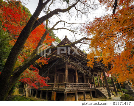 [Kyoto] Autumn leaves of Konzoji 81371457