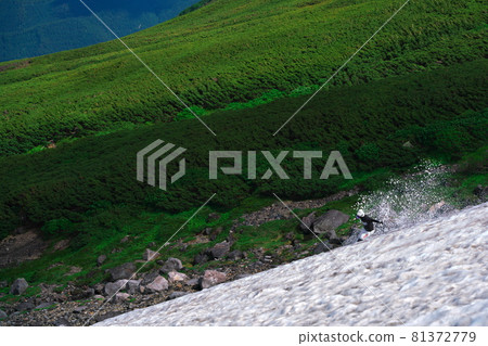 夏季在乘鞍大雪左側的雲上滑雪 81372779