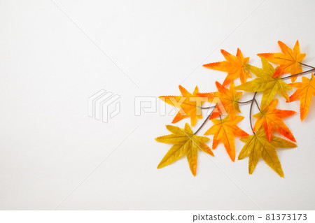 秋天的樹葉背景楓葉秋天圖像 秋天的樹葉背景楓葉秋天圖像 81373173