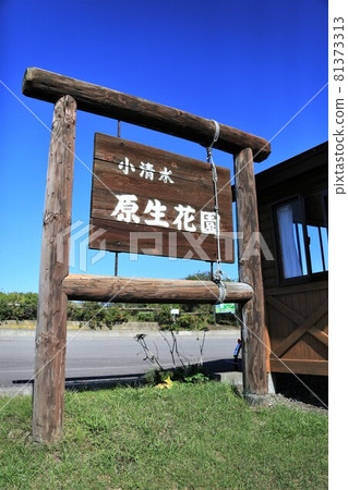 小清水花園(北海道小清水町) 小清水花園(北海道小清水町) 81373313