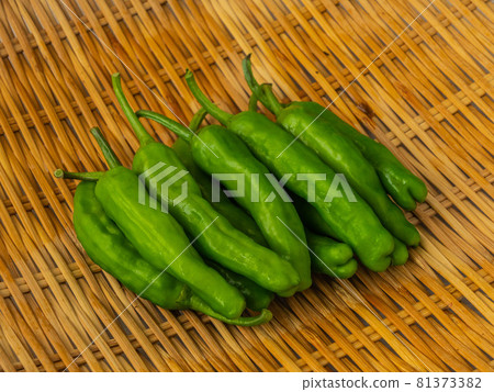 秋季蔬菜 81373382