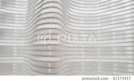 Morning light and lace curtains 81373457