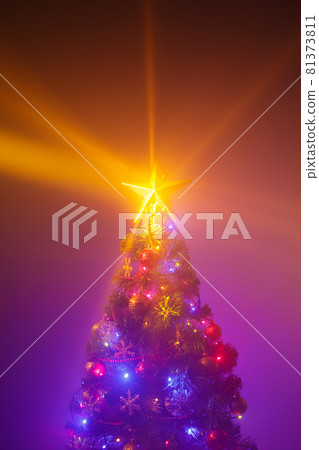 Christmas tree with shining star and frozen mist 81373811