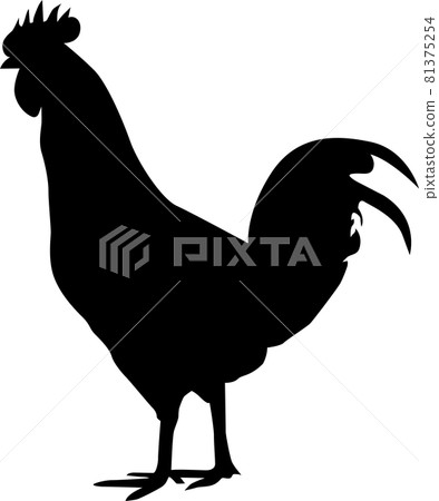Chicken 81375254