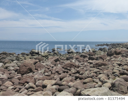 從初島內環遊（靜岡縣熱海市）看到的夏季太平洋 81375494