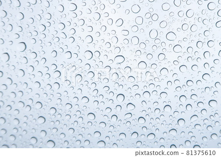 Polka dot  81375610
