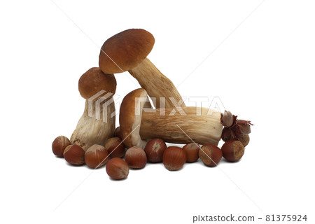 Seasoning still life with Boletus mushroom and hazelnuts 81375924