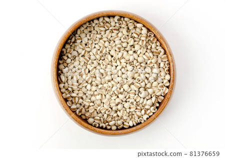 麥米 麥米 81376659