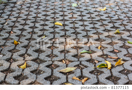 Stone pavement in park, background. Stone pavement in park, background. 81377115