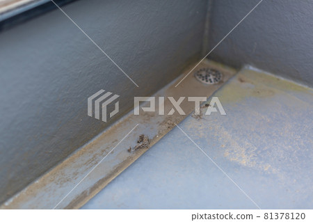 Dirty veranda Dirty veranda 81378120
