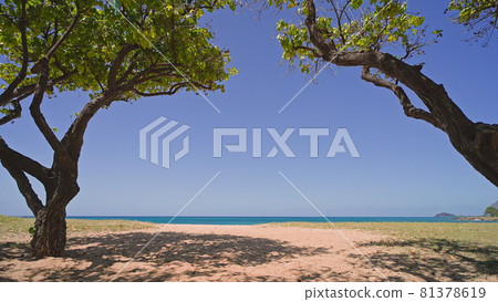Blue ocean, beautiful trees, yellow sandy beach nature Tropical Islands Oahu Hawaii. Pacific Ocean. Turquoise sea background. Clear sunny day in the tropics. 81378619
