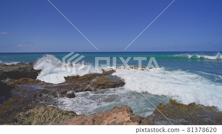 View of the volcanic cliffs on the tropical beach of Oahu Hawaii. Waves crash against the sharp edges of the stones. Cinematic 4K slow motion wildlife. Untouched nature on a sunny summer day. DCI. 81378620