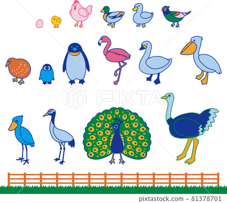 動物（鳥類）插圖集（彩色） 81378701