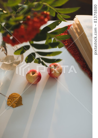 autumn still life with rowan and apples on a table autumn still life with rowan and apples on a table 81378880