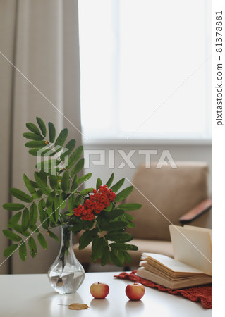 autumn still life with a rowan branch in a vase, book and apples in a cozy home interior 81378881