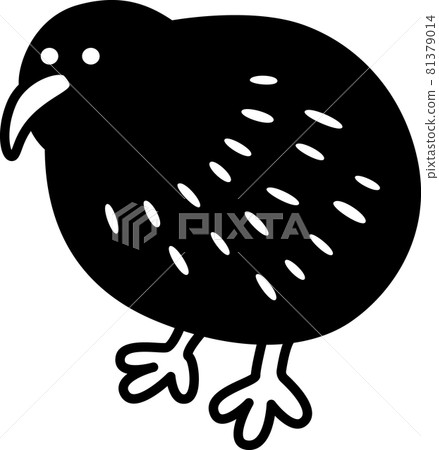 kiwi kiwi 81379014