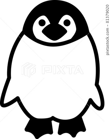 Penguin chick 81379020