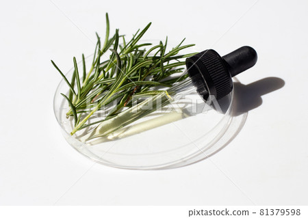 Essential oil with rosemary leaves in petri dishe on white background. 81379598