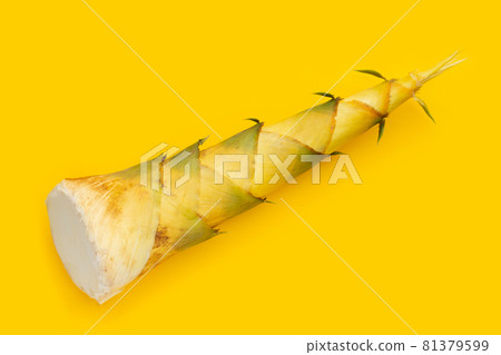 Bamboo shoot on yellow background. Bamboo shoot on yellow background. 81379599