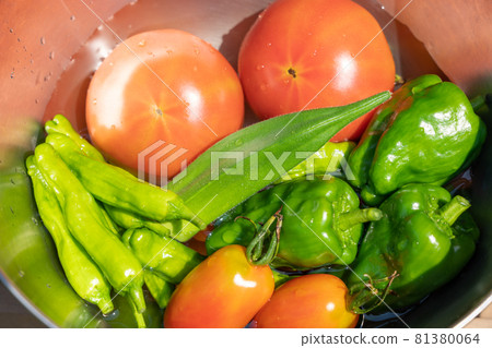 收穫和收集夏季蔬菜 碗中的夏季蔬菜(7 月) 家庭菜園 收穫和收集夏季蔬菜 碗中的夏季蔬菜(7 月) 家庭菜園 81380064