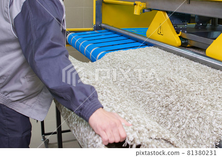 Laundry worker in process of working on automatic machine for carpet washing in dry cleaning 81380231