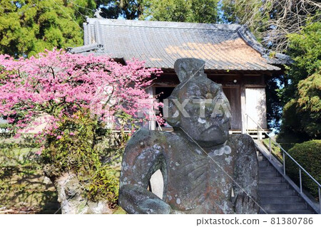 畑山神社的仁王像 畑山神社的仁王像 81380786