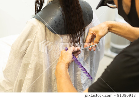 Hands of a stylist who cuts women's hair at a hair salon Hands of a stylist who cuts women's hair at a hair salon 81380918