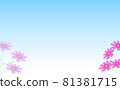 Cosmos and blue background 81381715