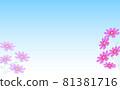 Cosmos and blue background 81381716