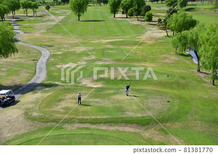 Golf course 81381770