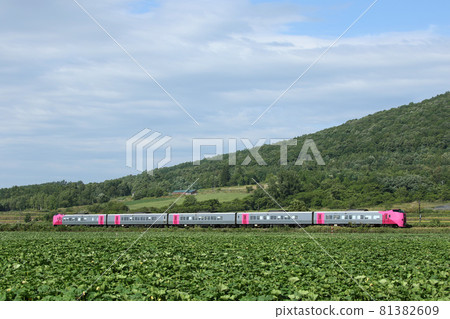 Kiha 261系列Hamanasu編隊Hamanasu編隊特快Sarobetsu 81382609