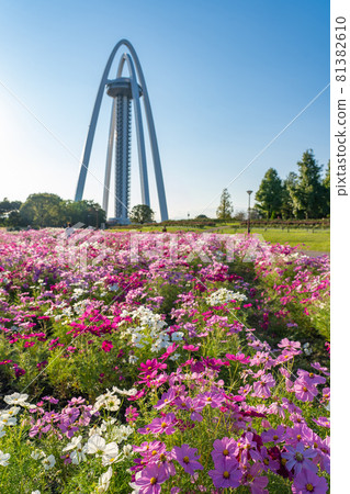 Observation Tower Twin Arch 138 and Cosmos in Kiso Sansen National Government Park, Ichinomiya City, Aichi Prefecture 81382610