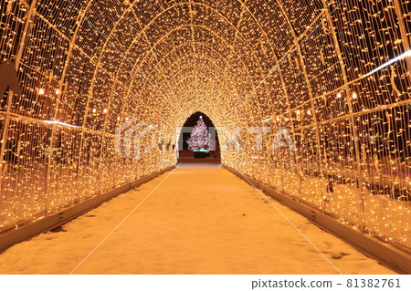 Hakodate Illuminations Winter 2020的光隧道 Hakodate Illuminations Winter 2020的光隧道 81382761