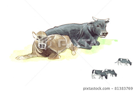Watercolor: Cow C Watercolor: Cow C 81383769