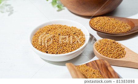 Mustard seeds (dried mustard greens seeds): Ingredients for Indian curry 81383898