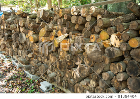 Firewood Firewood 81384404
