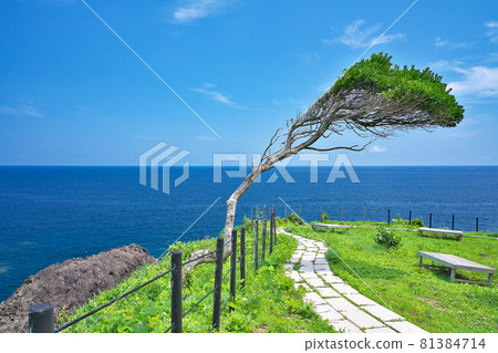 [Landscape from Cape Suzu, Oku Noto] Jike, Misakimachi, Suzu City, Ishikawa Prefecture 81384714