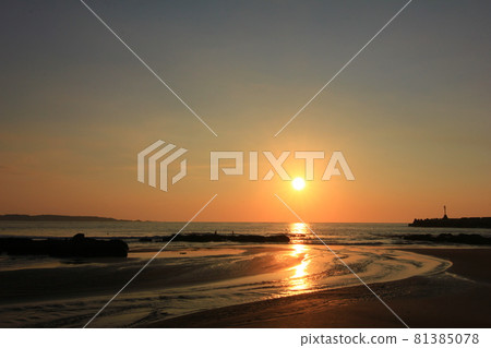 金色海岸 金色海岸 81385078