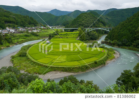 和歌山荒木島 81386002