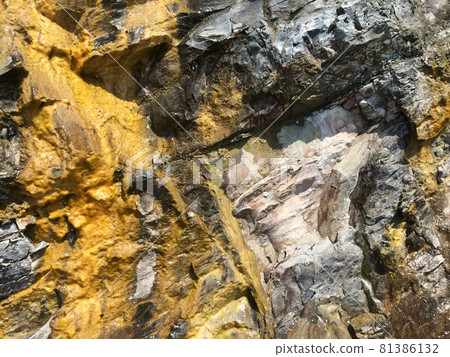 Background with yellow mold on the mountain or rock Background with yellow mold on the mountain or rock 81386132