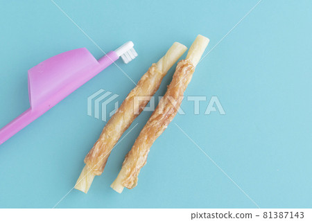 Dog dental gum and toothbrush on blue background Dog dental gum and toothbrush on blue background 81387143