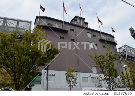 甲子園體育場 81387630