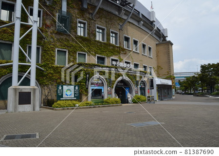 甲子園體育場 81387690