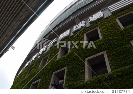 甲子園體育場 甲子園體育場 81387784