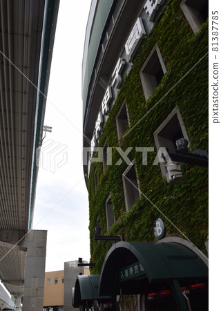 甲子園體育場 81387785