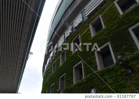 甲子園體育場 甲子園體育場 81387787