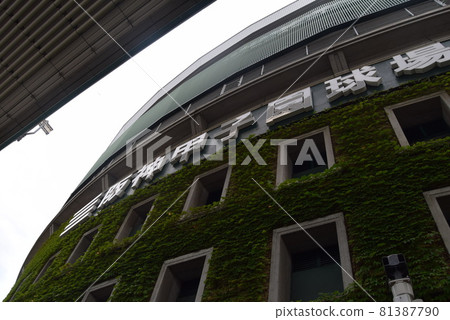 甲子園體育場 甲子園體育場 81387790